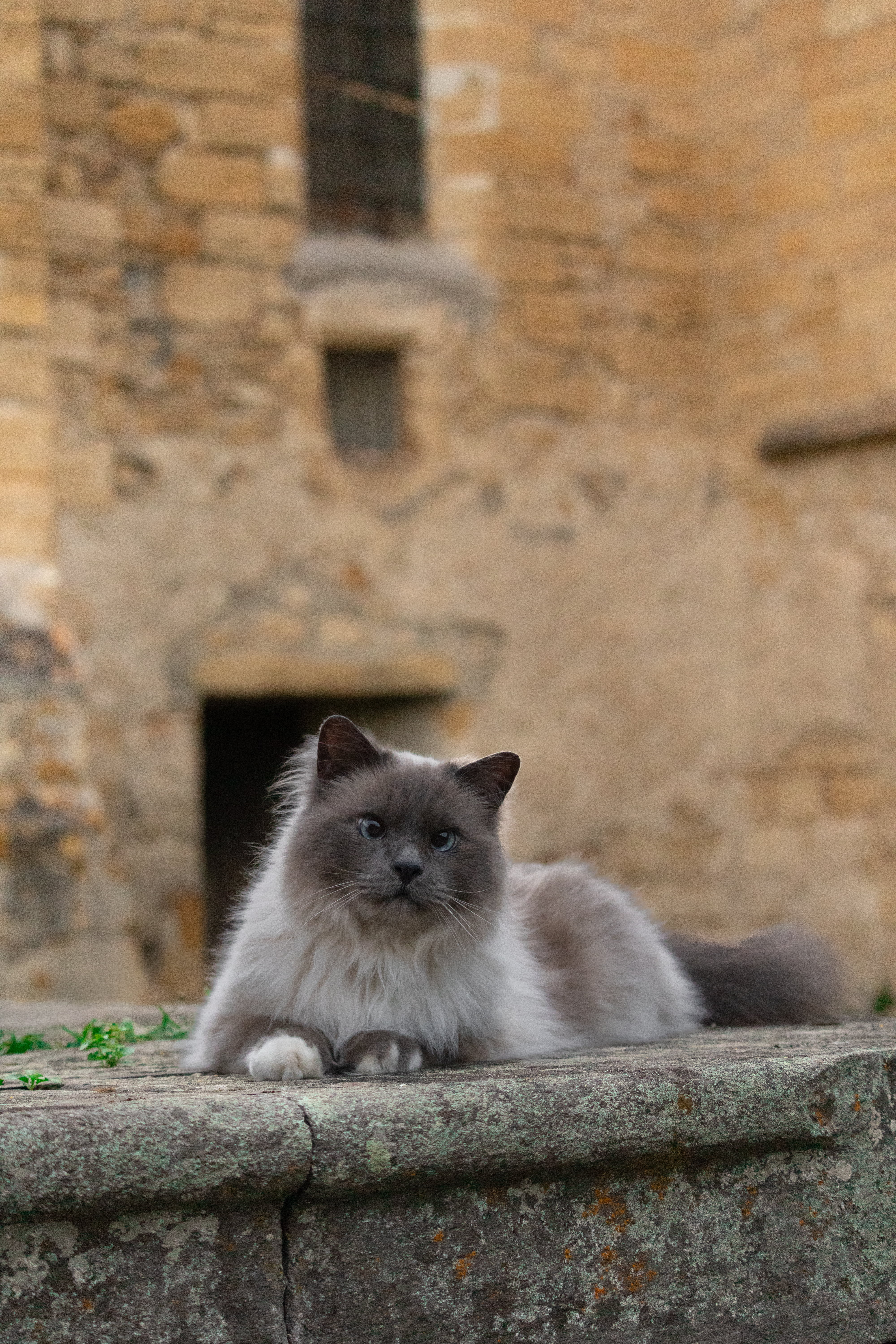 Photo animalière 2